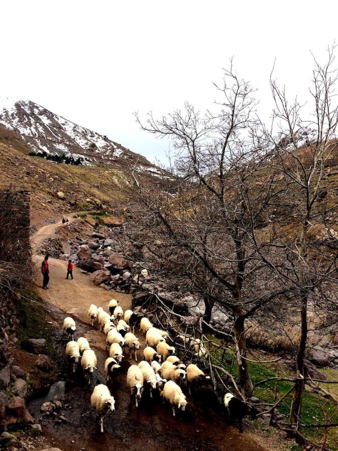 Gite Entre Les Vallees Hotell Tacheddirt Eksteriør bilde